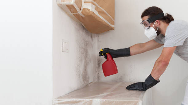 Professional Mold Inspection And Testing technician working in Marblehead, MA
